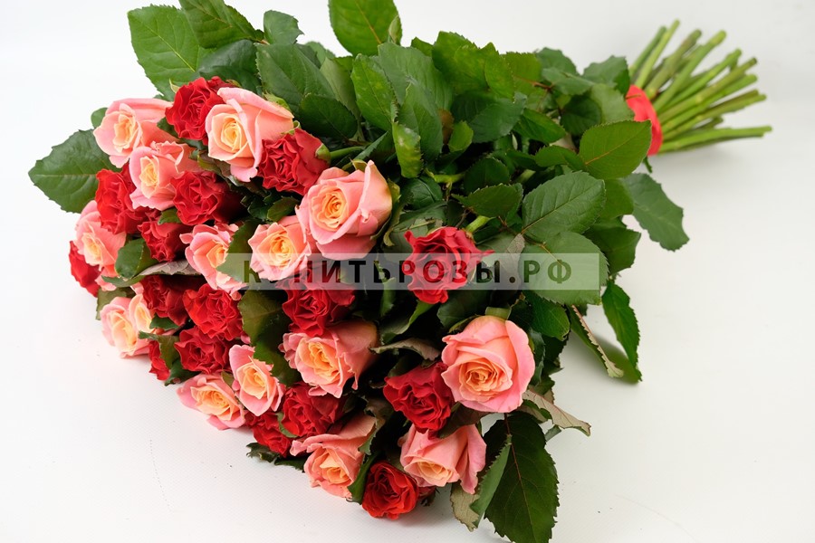 Букет роз Джейн Эйр из 31 розы
